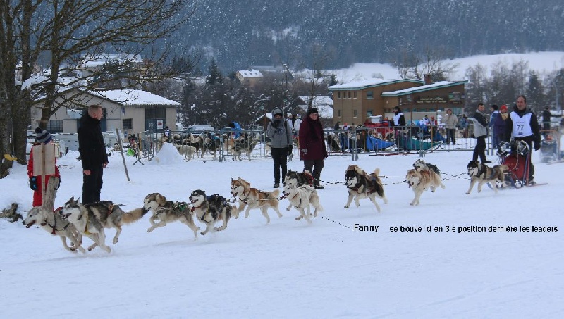 Freedom De la plaine du yukon